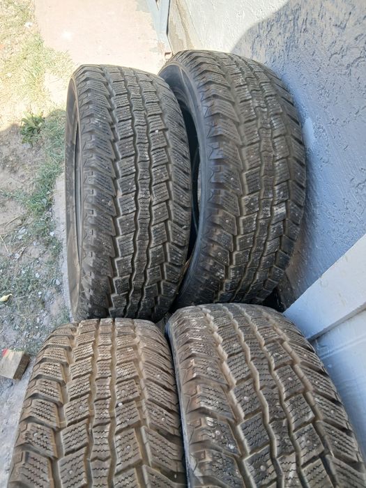 18 шиповни балон