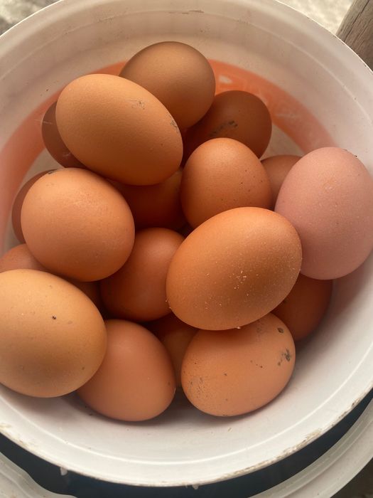 Домашни яйца с лична доставка