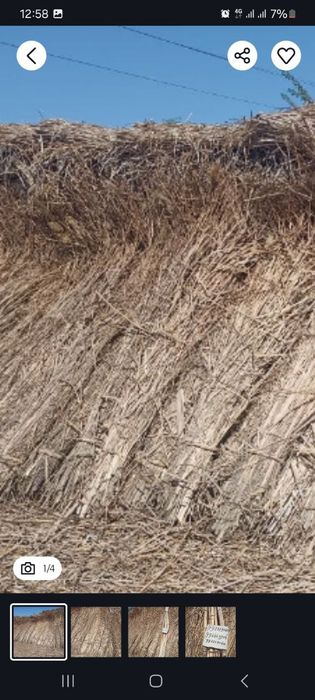 Хекан сотилади Ирдимзонда