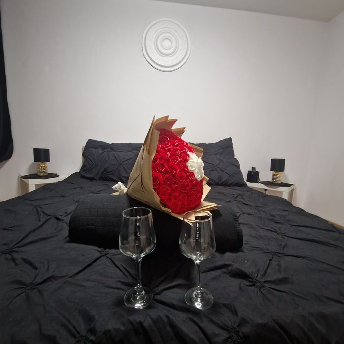Apartament in Regim hotelier Craiova Gara/Cazare Craiova