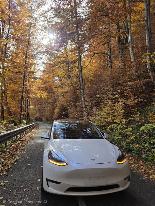 Ofer servicii de transport!