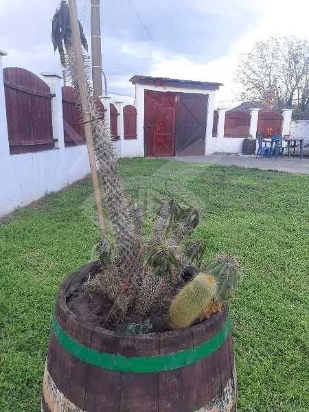 Продава се Къща в с. Михилци, Област Пловдив - 80 кв.м за 1175 €/кв.м - Снимка #3