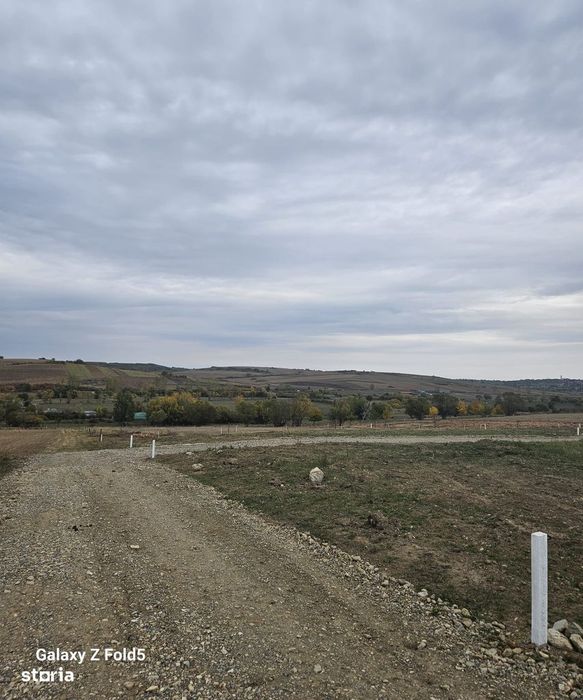 Parcelele ideale pentru casa ta — Paleu, Strada Soarelui