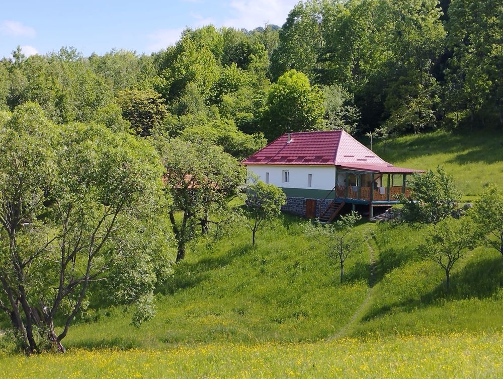 Vând casă și teren 13500mp în Munții Apuseni, Huedin