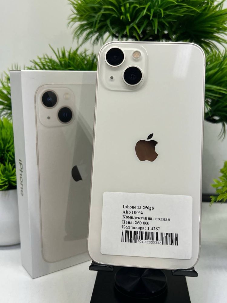 Iphone 13 256 gb