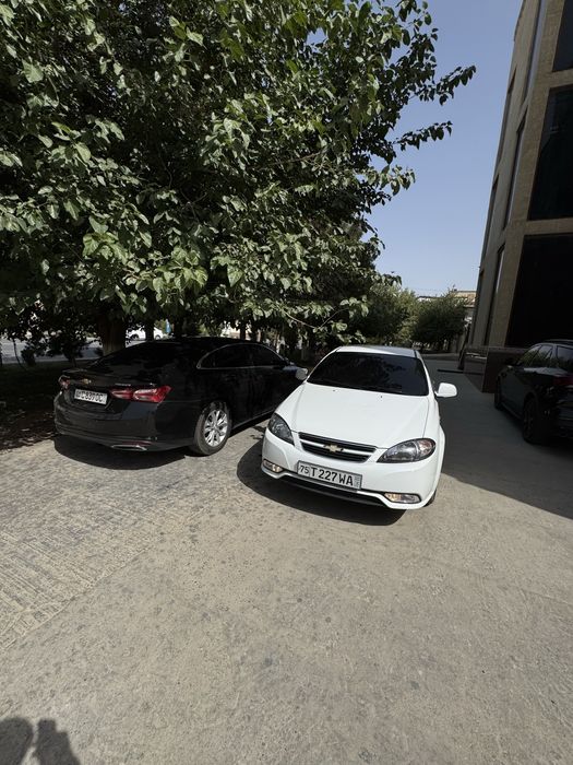 Жентра 2024 ат.