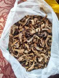Продам сушенные грибы