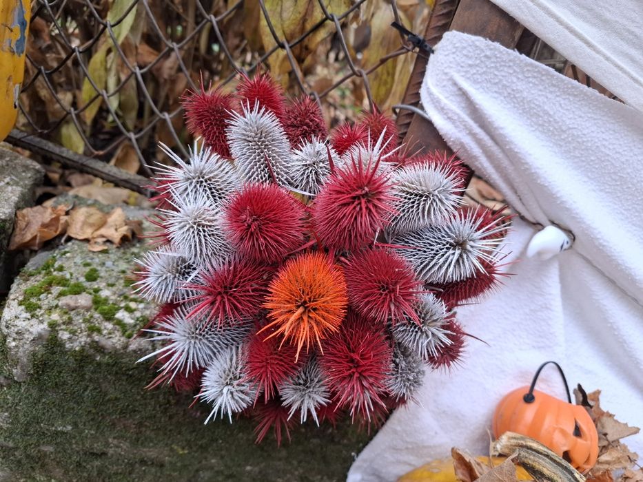 Planta ricin, decor exterior și interior