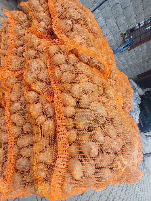 Cartofi de consum si de animale