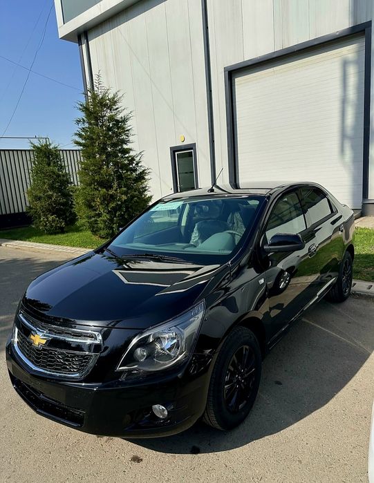 **Cobalt qora Gbo midnight 2025