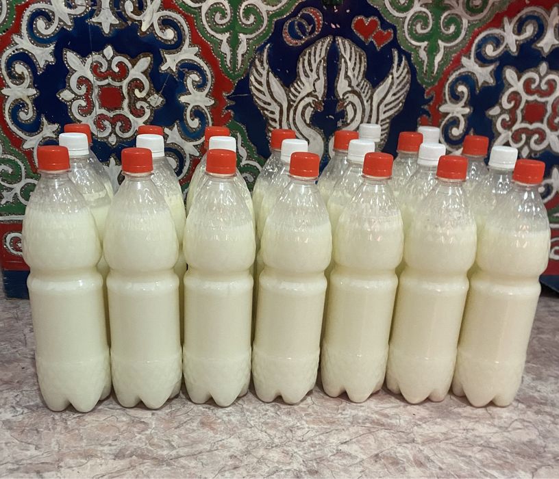 Таза уйдын кымызы сатылады
