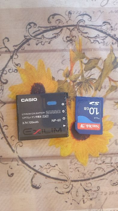 Casuo Exlim  EX-Z 19