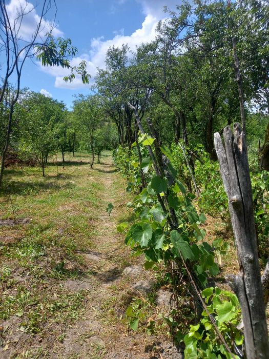 Casa si teren,gaze,lumina,put,acte la zi