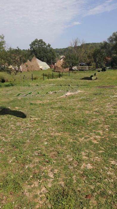 Primesc pamant umplutura