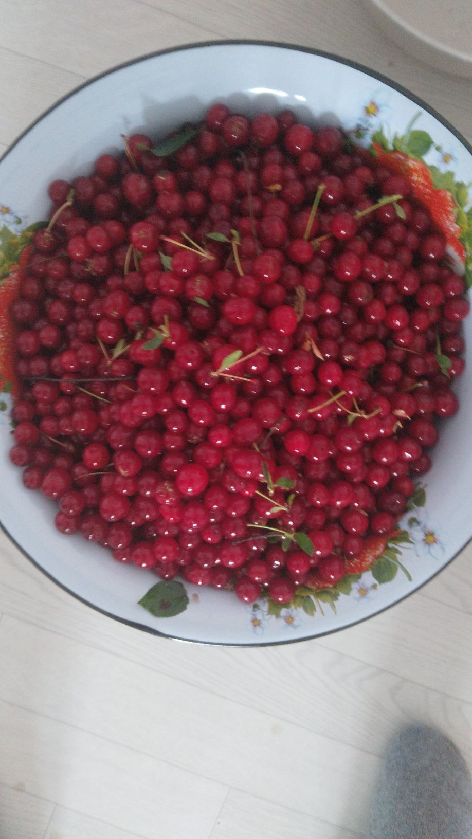 Местная Вишня Вишня