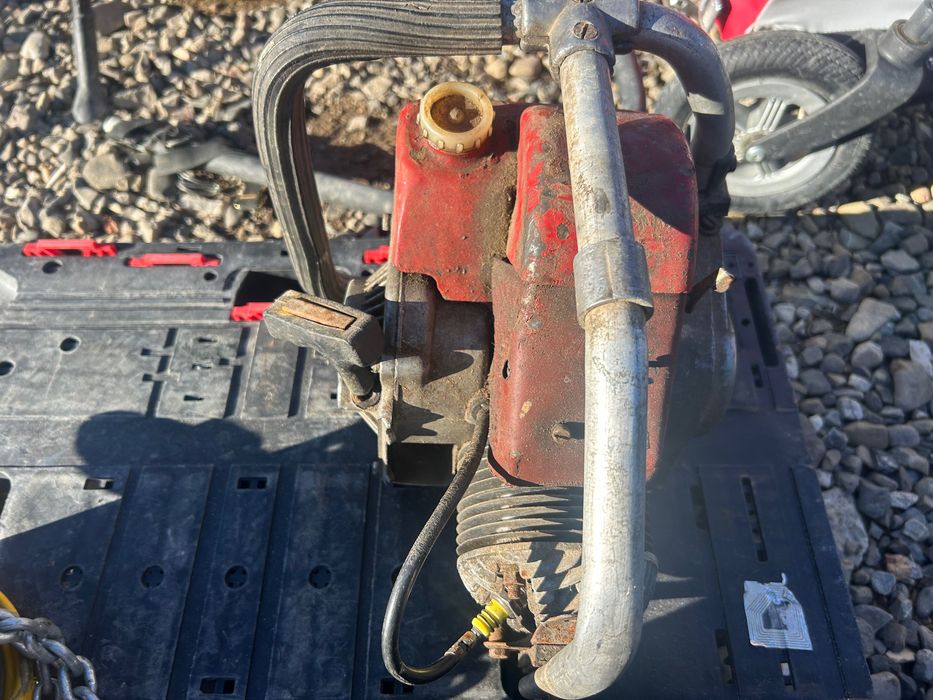 Drujba Retezat foarte veche