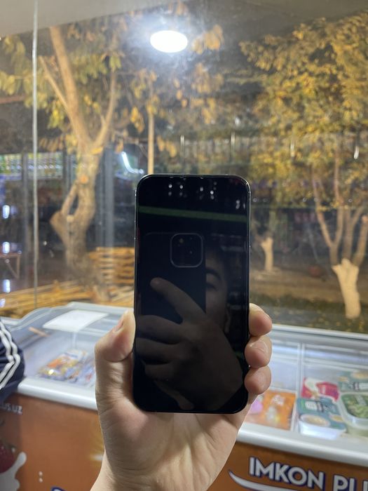 iPhone 13 Pro 256GB — Havorang