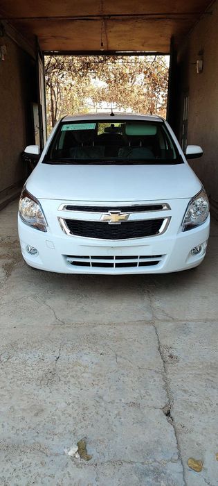 Cobalt MCM Yangi Срочна