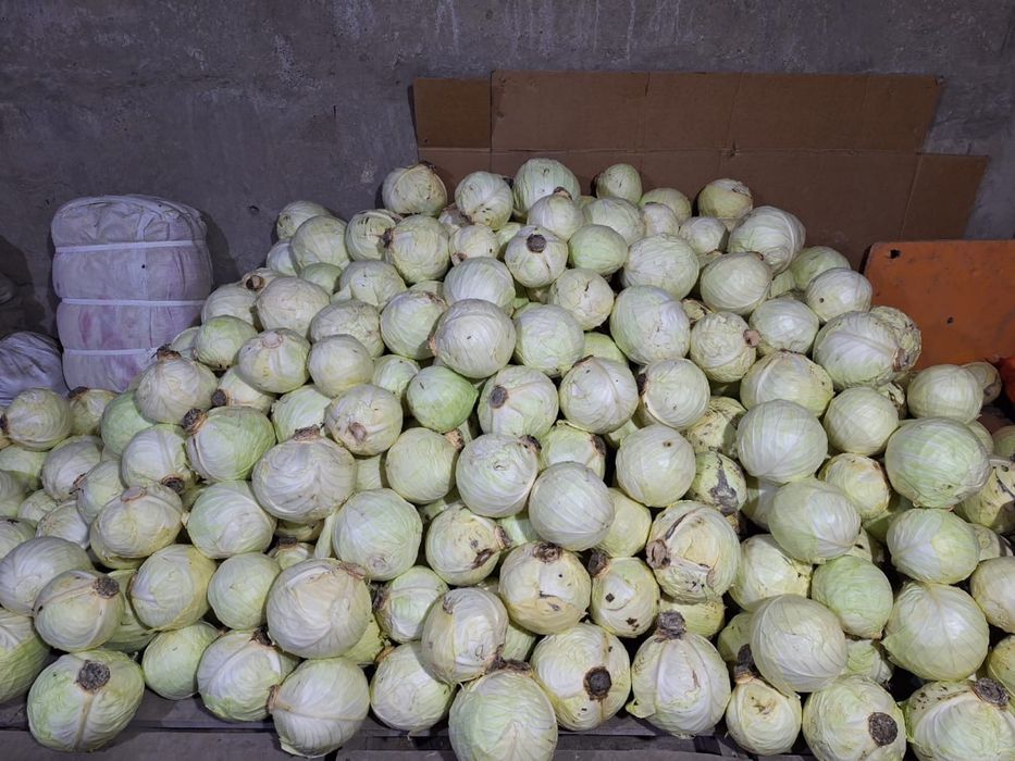 Продаются овощи в мешках