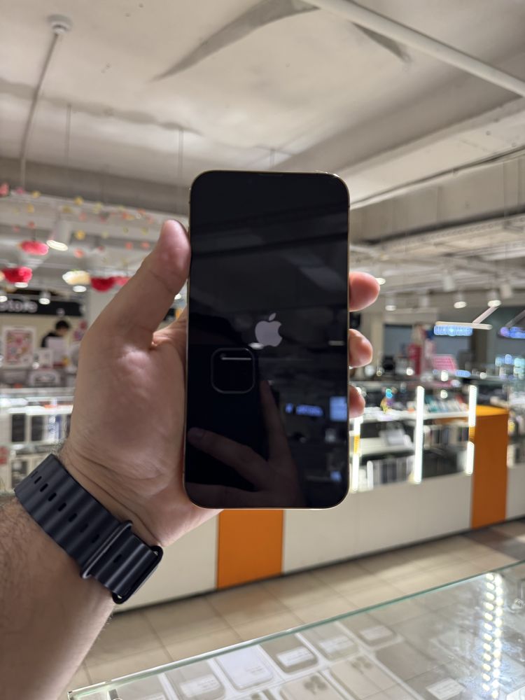 Iphone 13 pro max 256gb