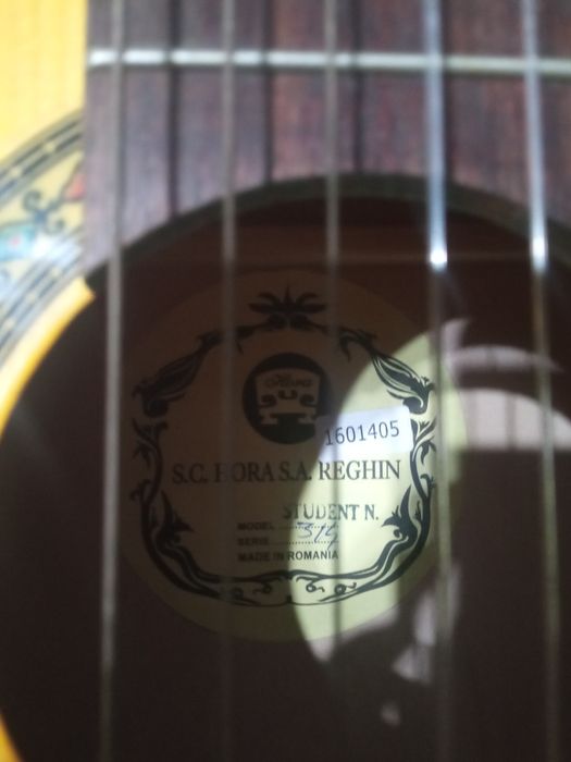 Chitara Hora student N de la Reghin