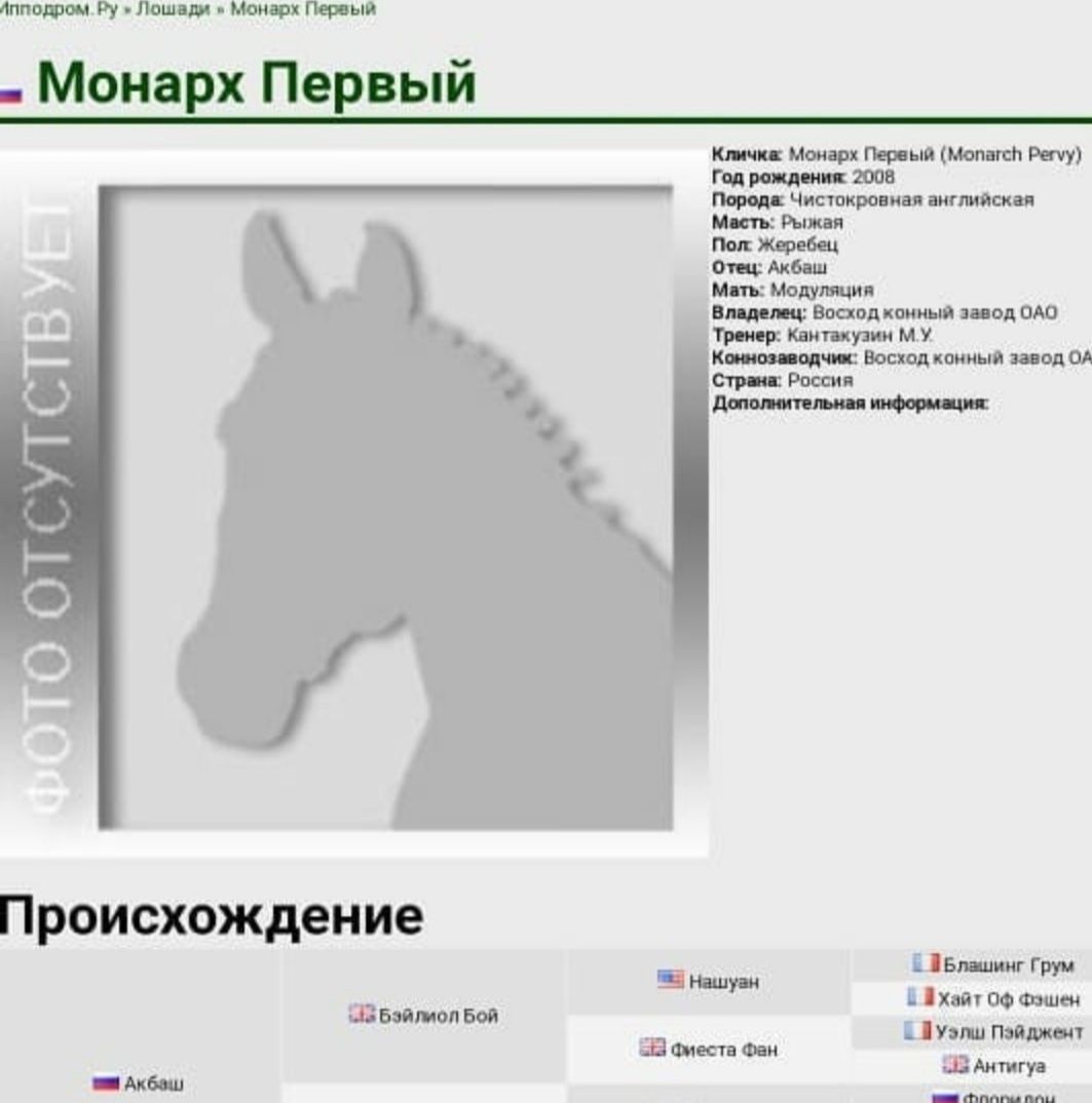 Продаю чистокровную кобылу