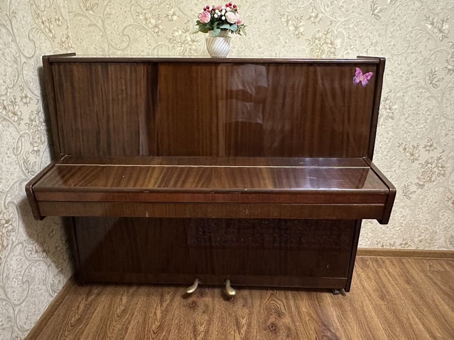 Piyanina lastichka yangi sastayaniyda