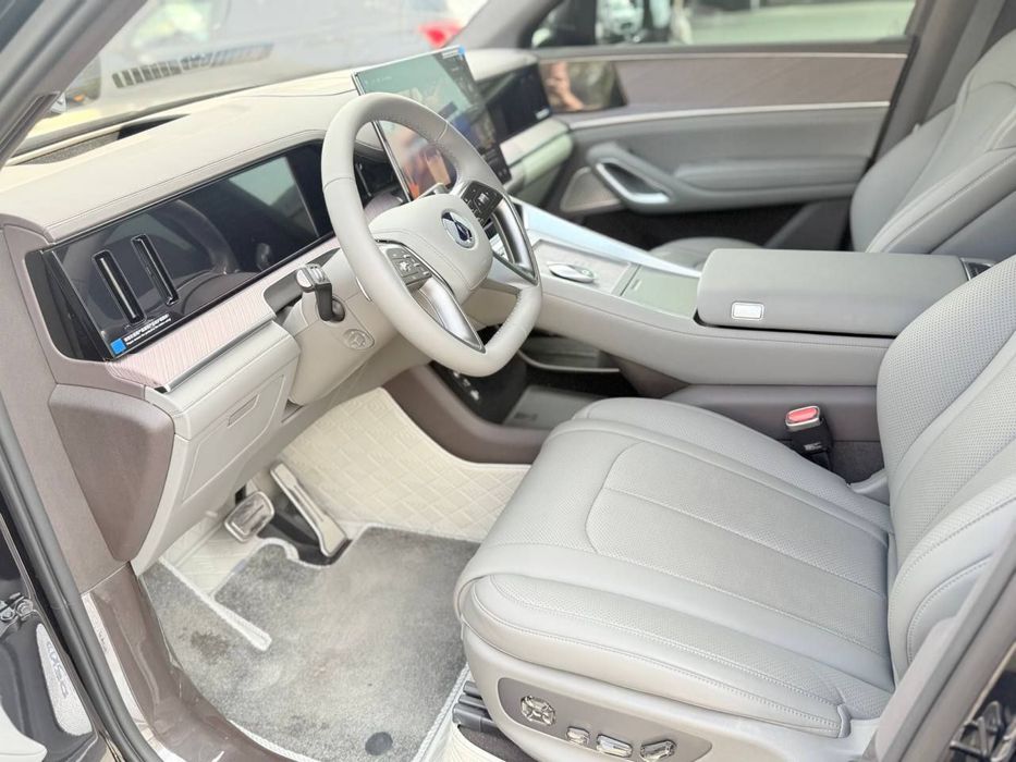 Denza N9 full 2025.04