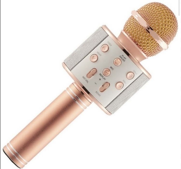 Портативная Колонка и микрофон