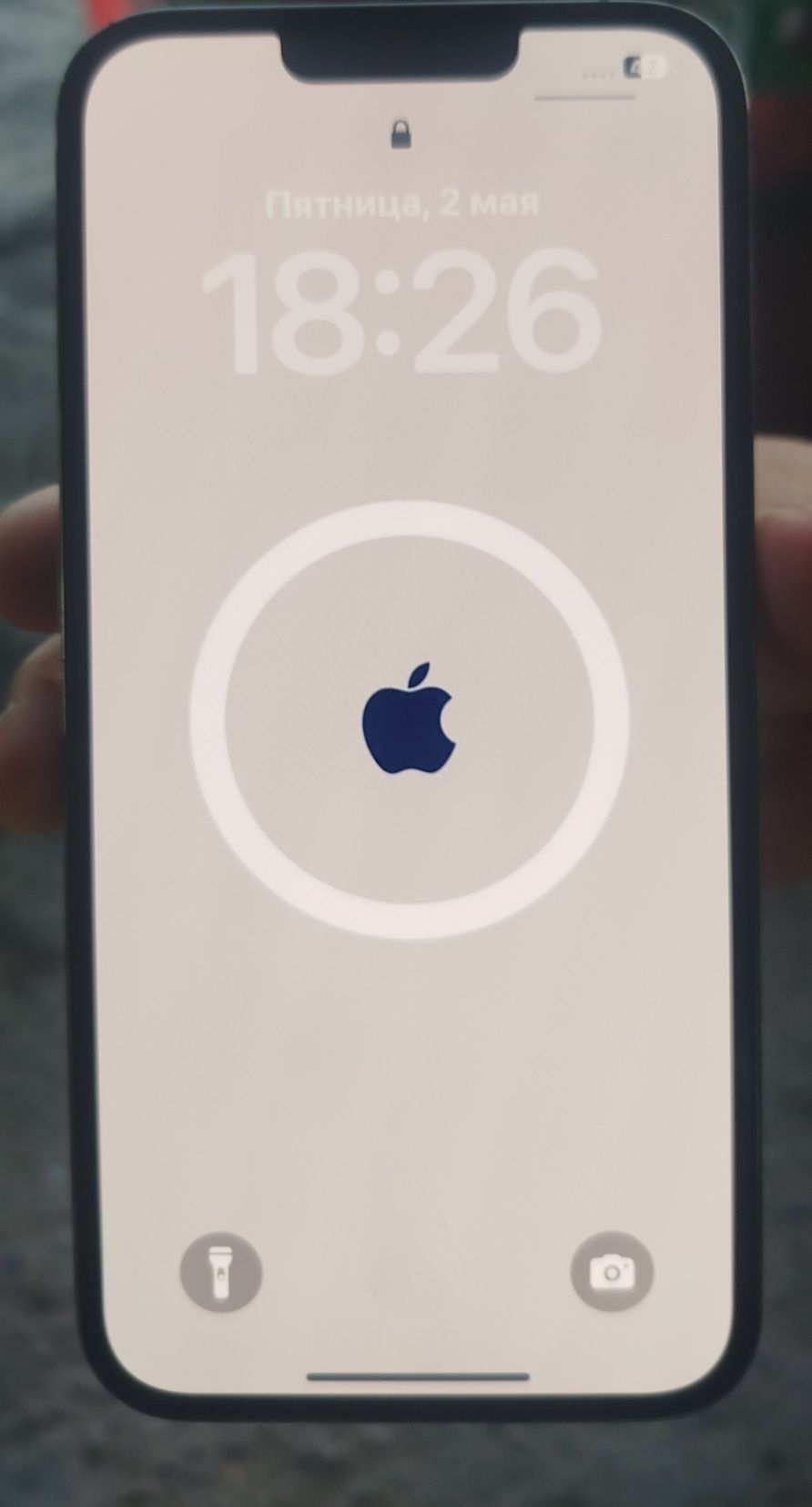 iPhone 13pro max