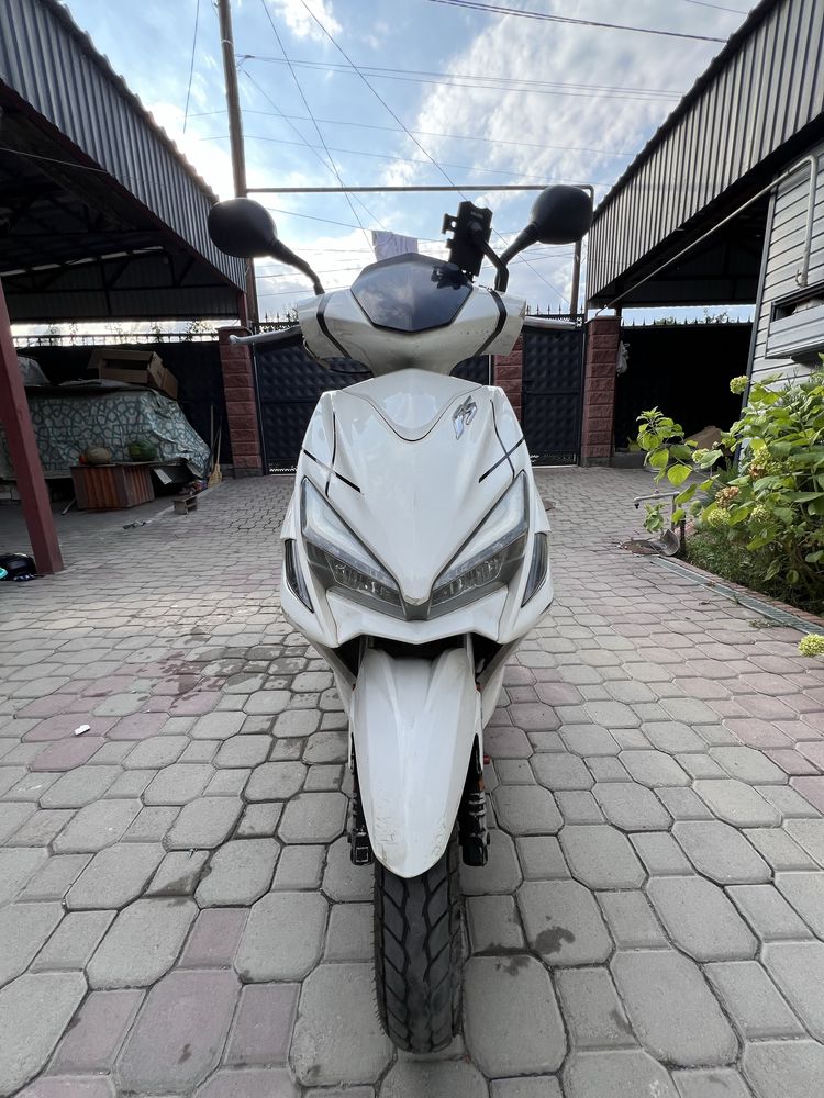 Продам моред peda срочно
