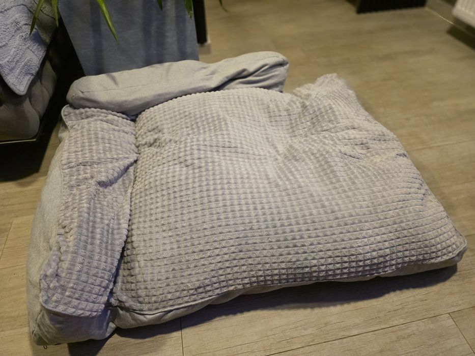 Vand patut  catel talie mare