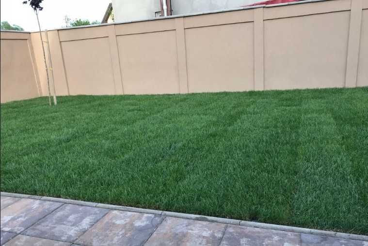 Gazon Rulou Transport montaj