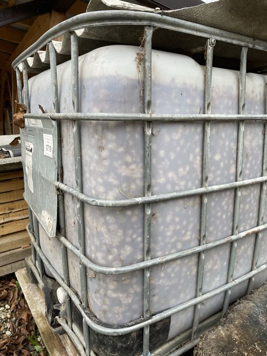 Vând prune pentru pălincă.