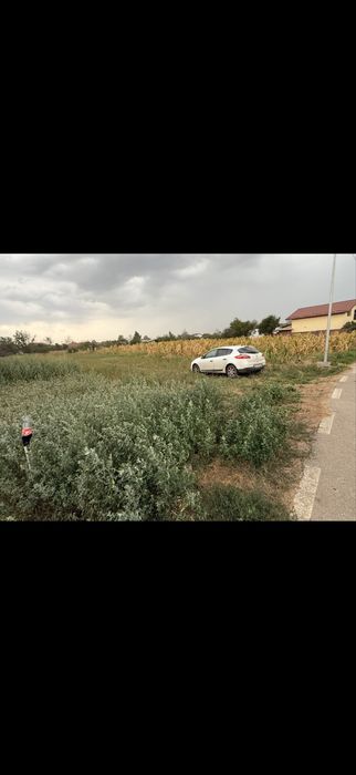 Teren de vanzare