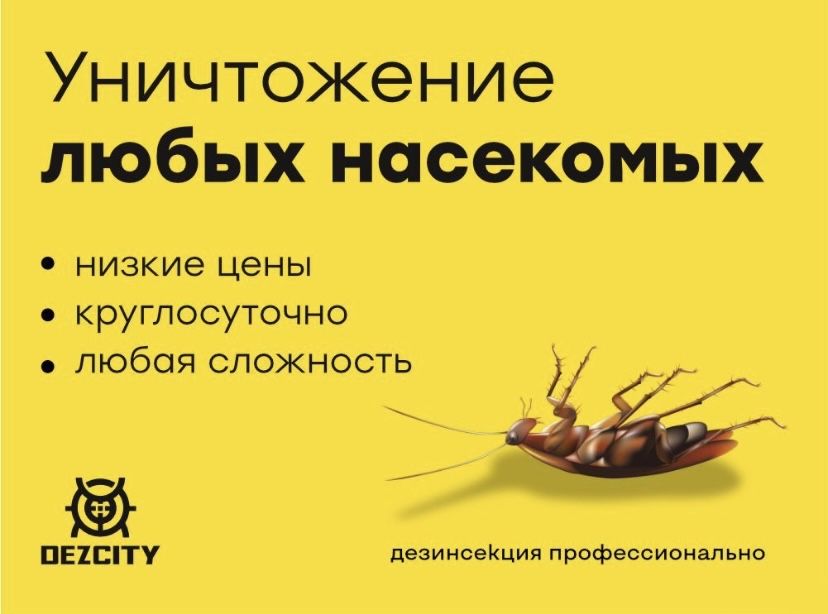 Уничтожение крыс, обработка от клопов и тараканов қандала жәндік