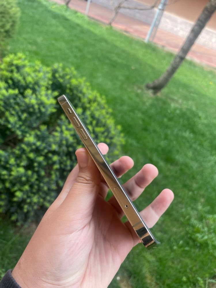 Iphone 12 pro ideal