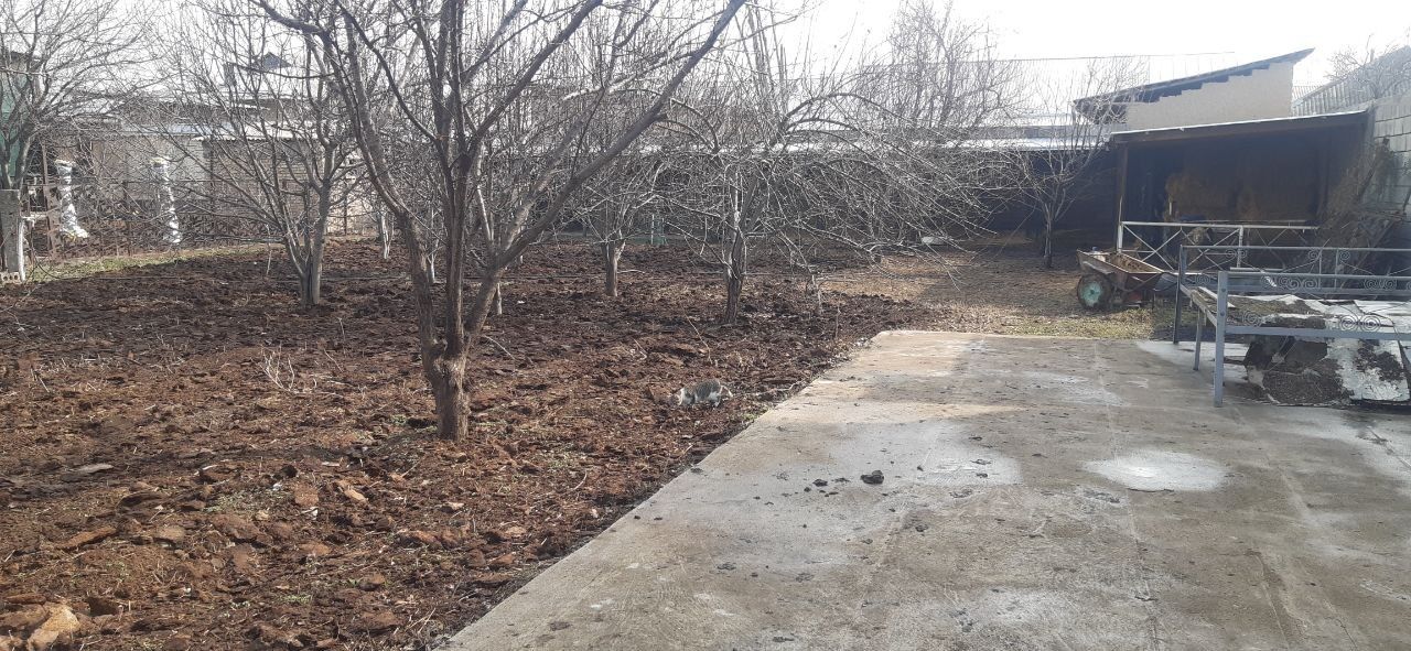 Er uchastka 6 sotix.20x30 etilgan mevali daraxtlar.erga qarori bor