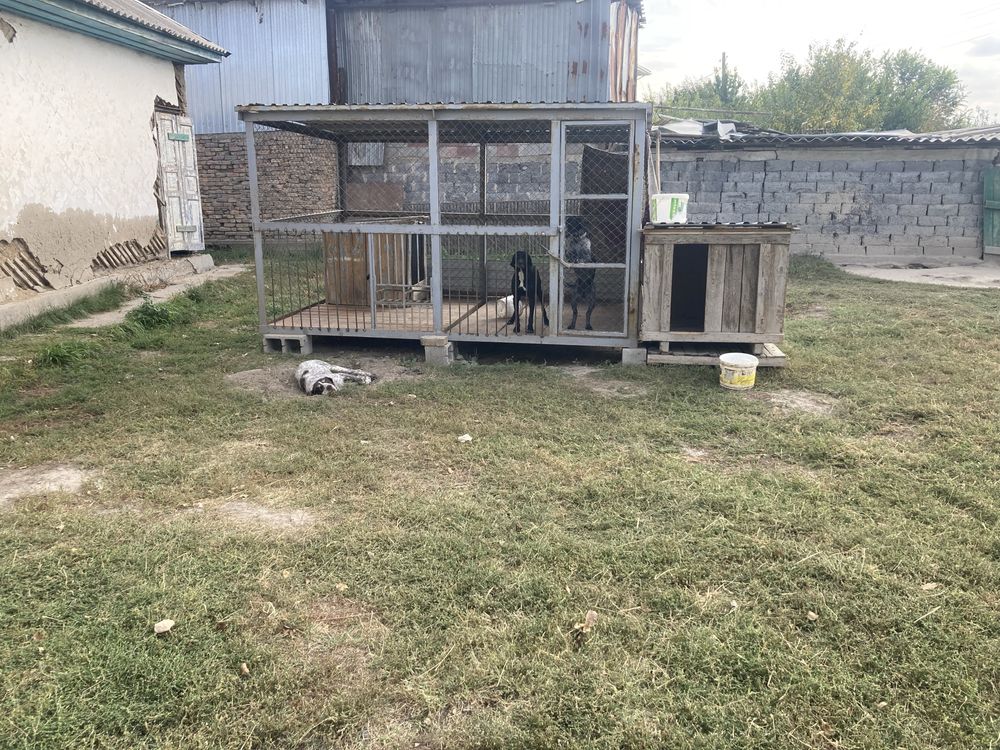 Продам вольер для собак