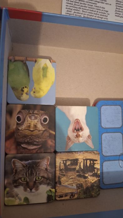 Carti de memorie și un alt joc