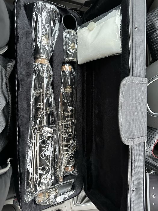 Сол клариент бьом система. Moresky