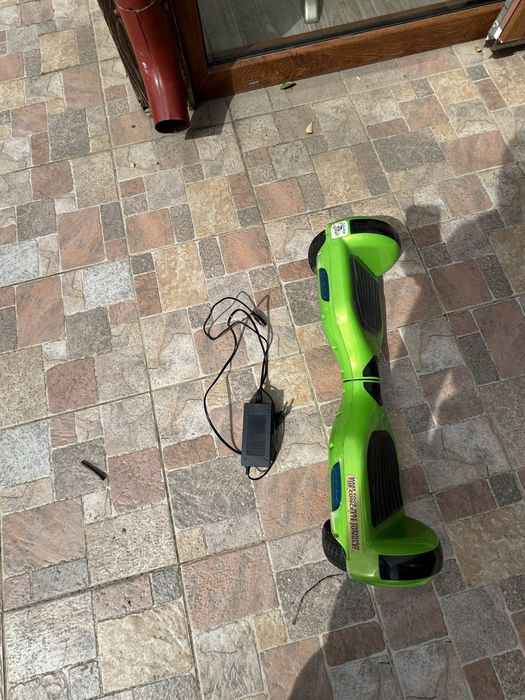 Hoverboard monkey