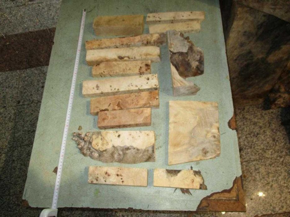 Подарявам трупчета от туморна топола