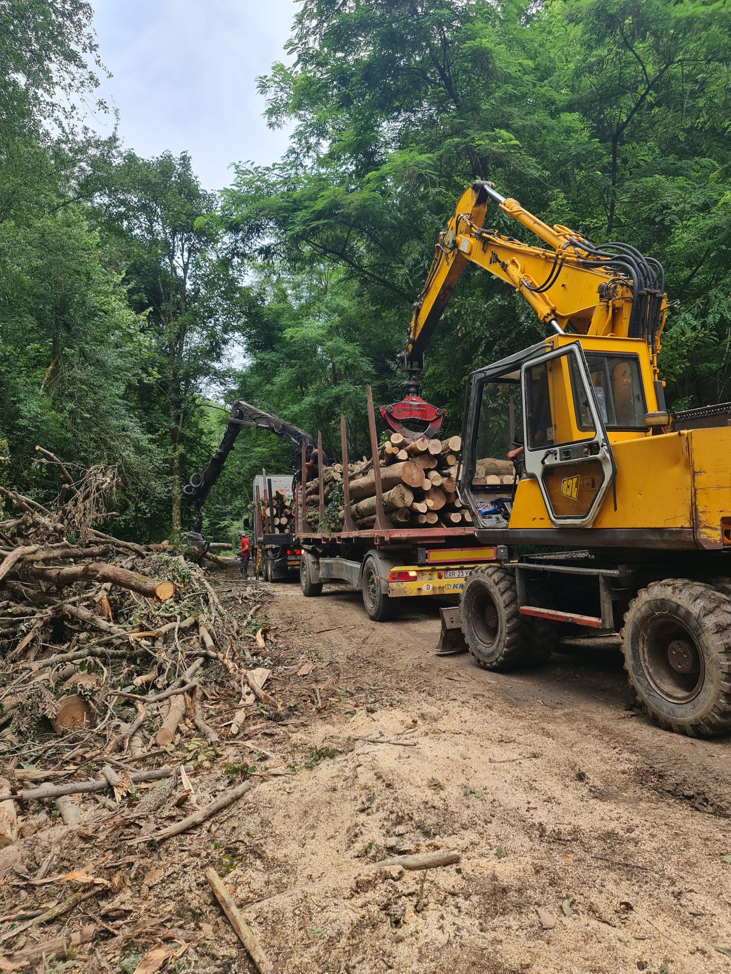 Inchiriez excavator pe senile 17t, excavator pe roti 15t, buldozer