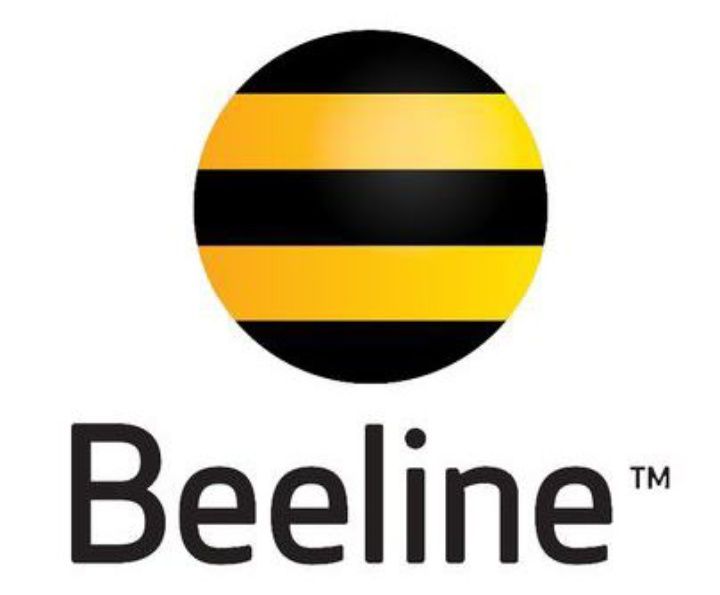 Продаю гиги Билайн 100тг