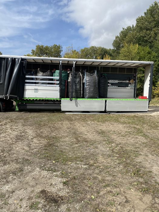 Cartofi consum red lady