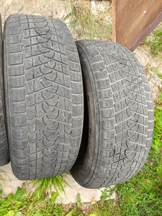 Шины зима  triangle