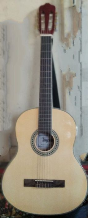 Gitara tayste 40 razmer