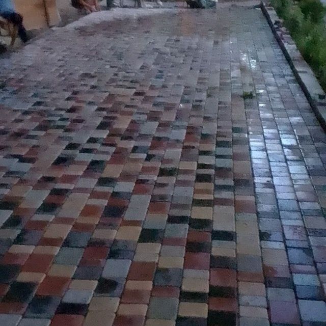 Burchatka teramiz sifati N1