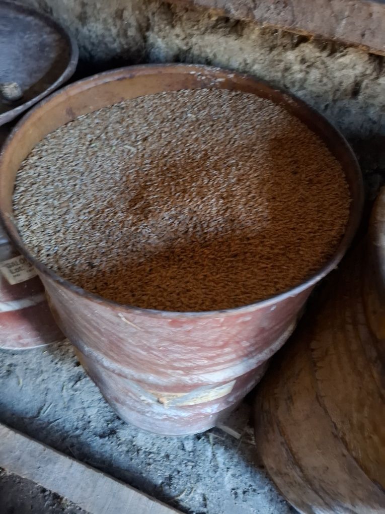 Vând grâu, prețul este per kilogram.